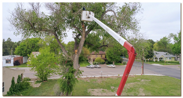 aerial image of tree trimmer